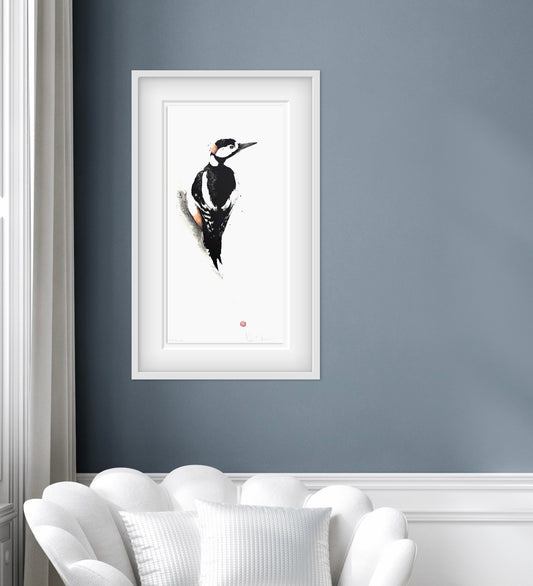 Större Hackspett, Etat II