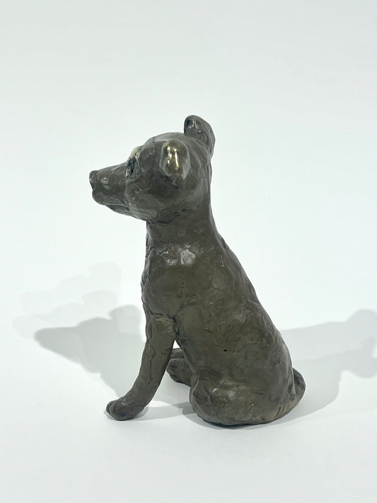 Tapir