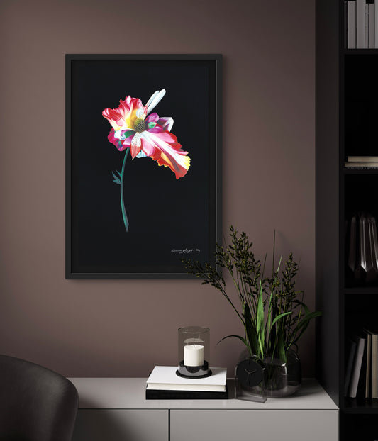 Eustolipa Kraftia (Dark)