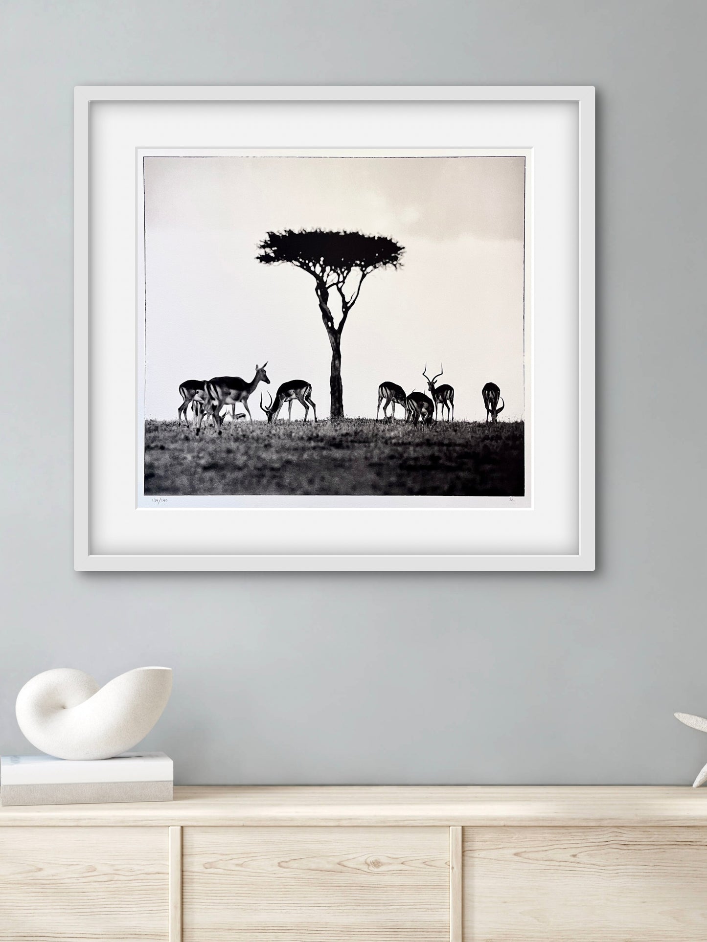 Impalas