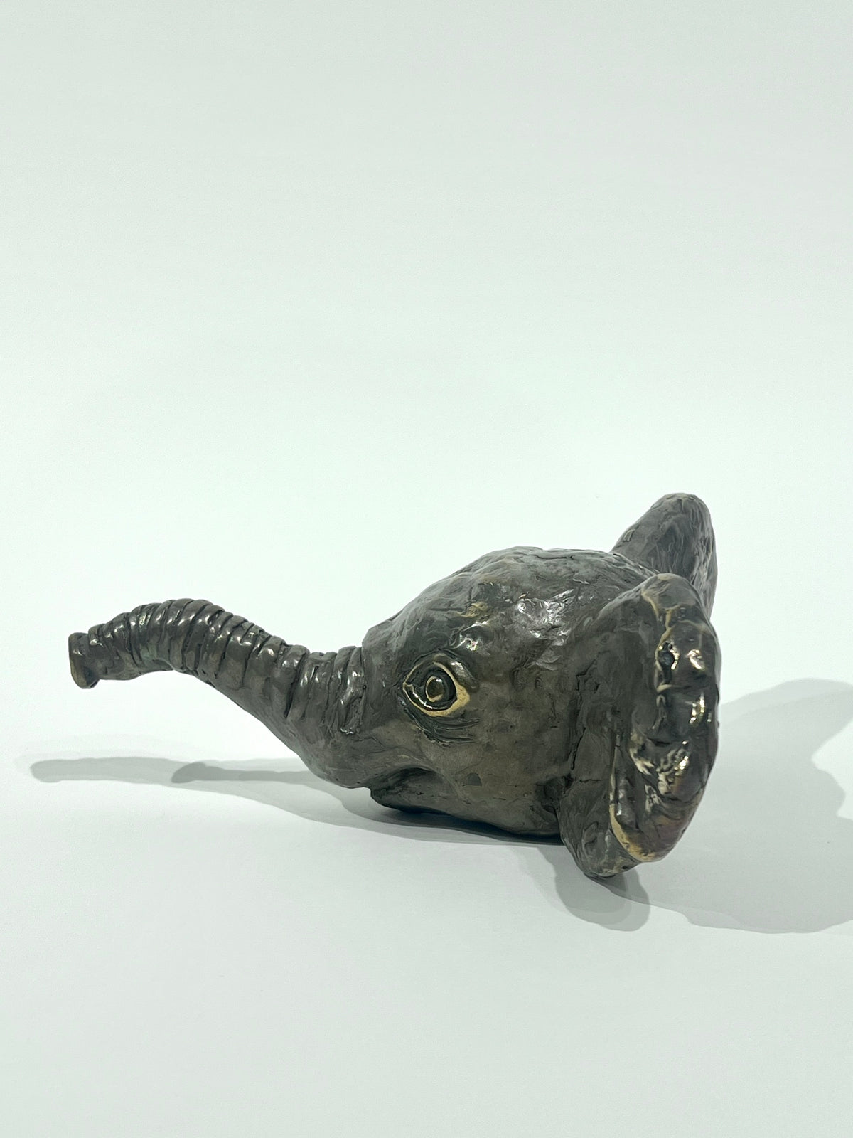 Tapir