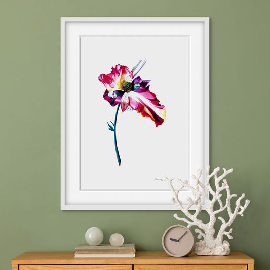 Eustolipa Kraftia (Light)