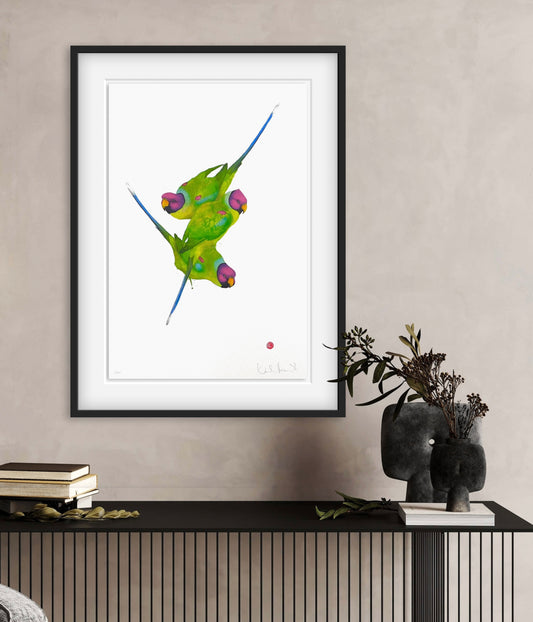 Plommonhuvad parakit