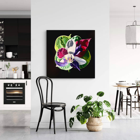 Clematithurium Orchidaceae, Hybrid No. 19