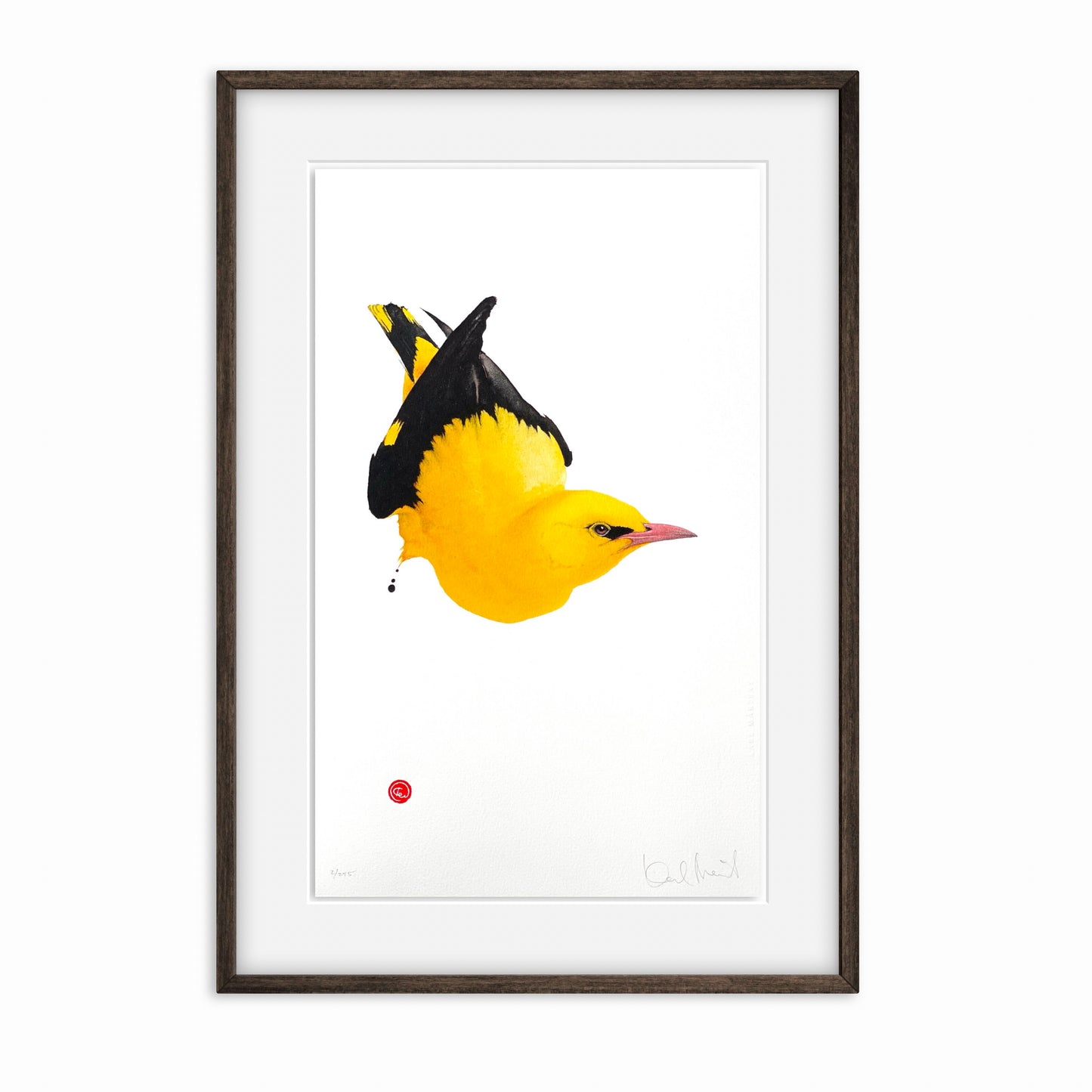 Oriole