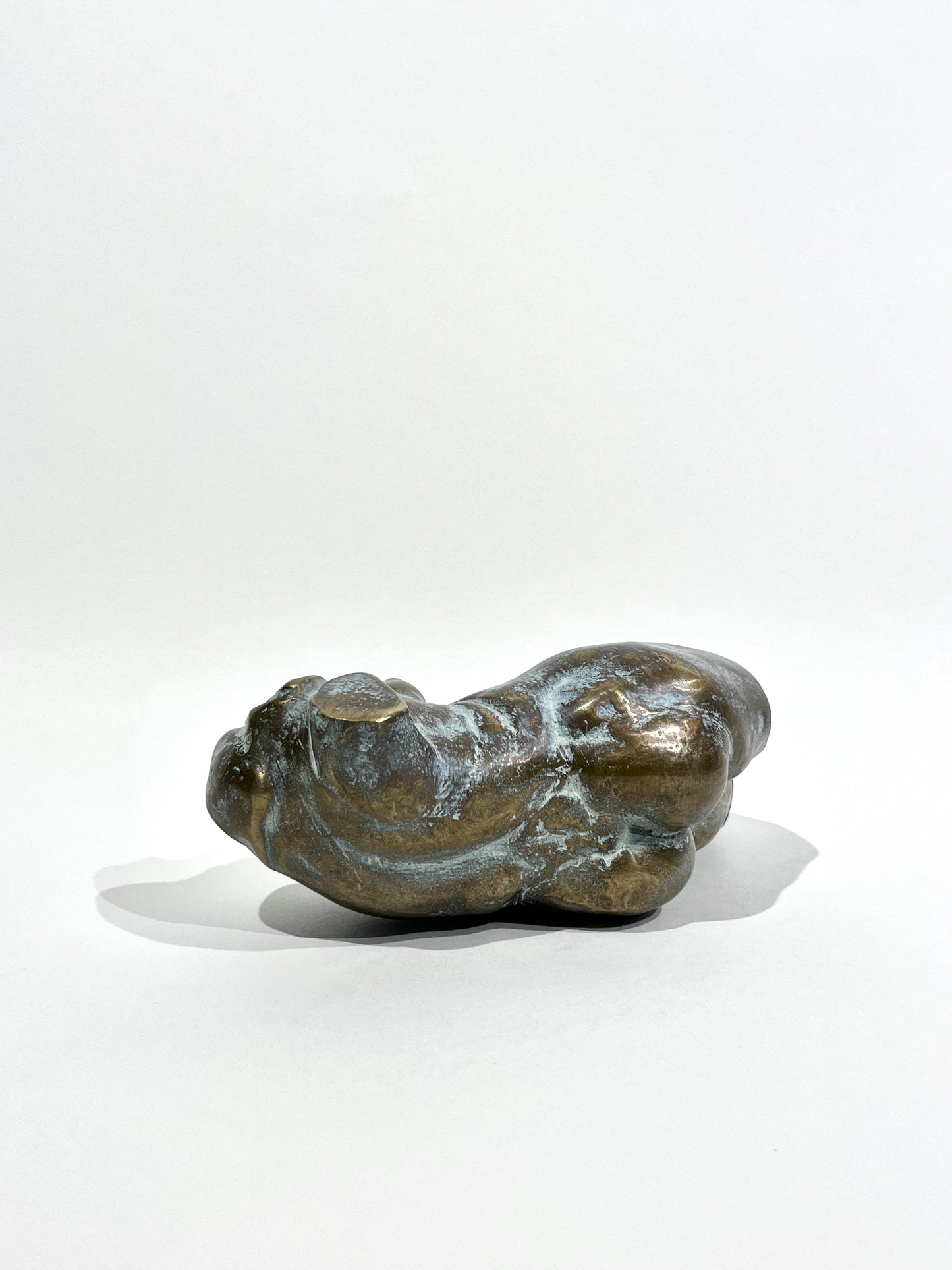 Torso