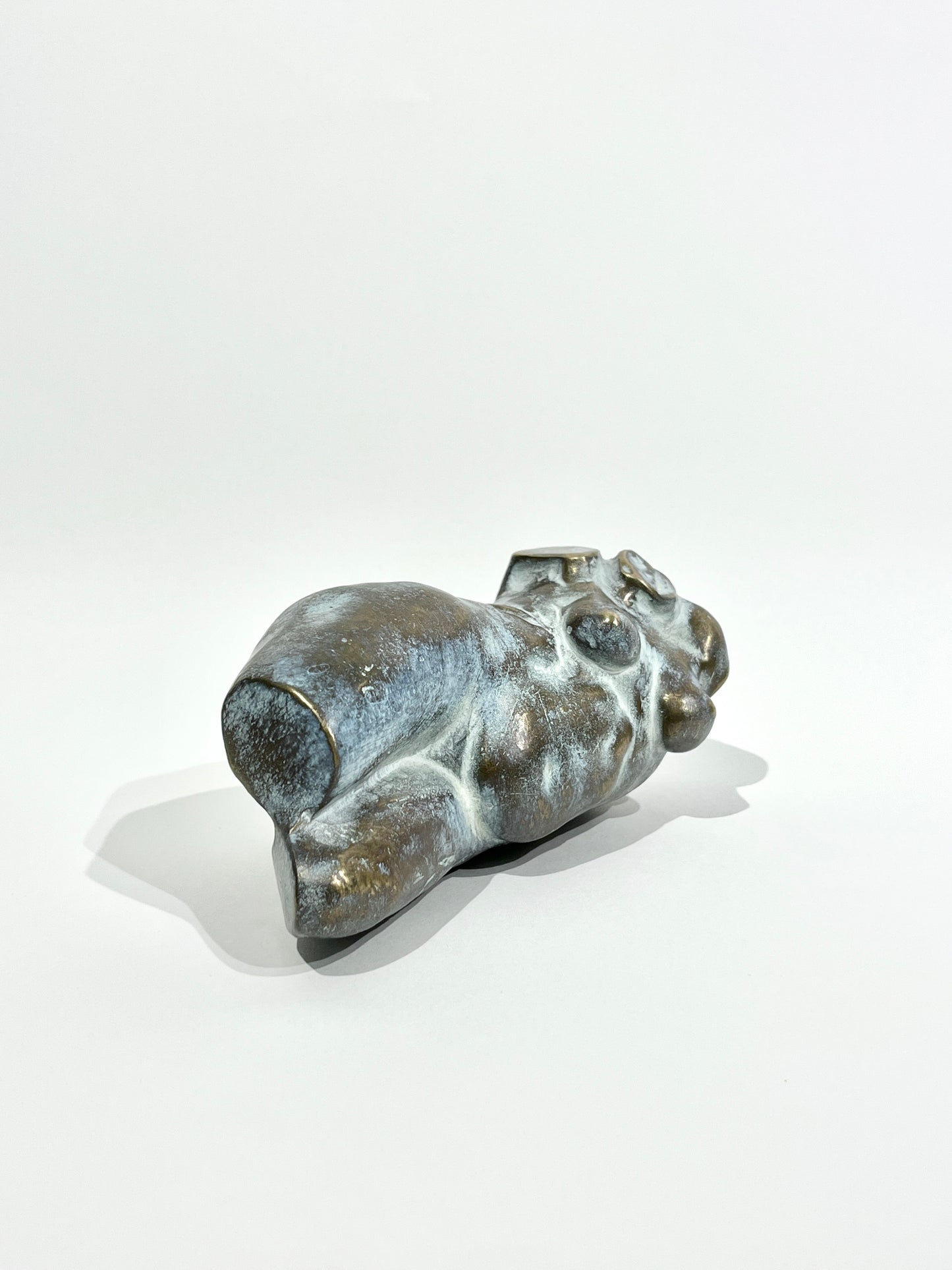 Torso