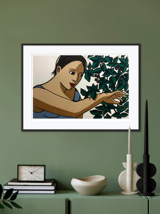 Picking blackberries