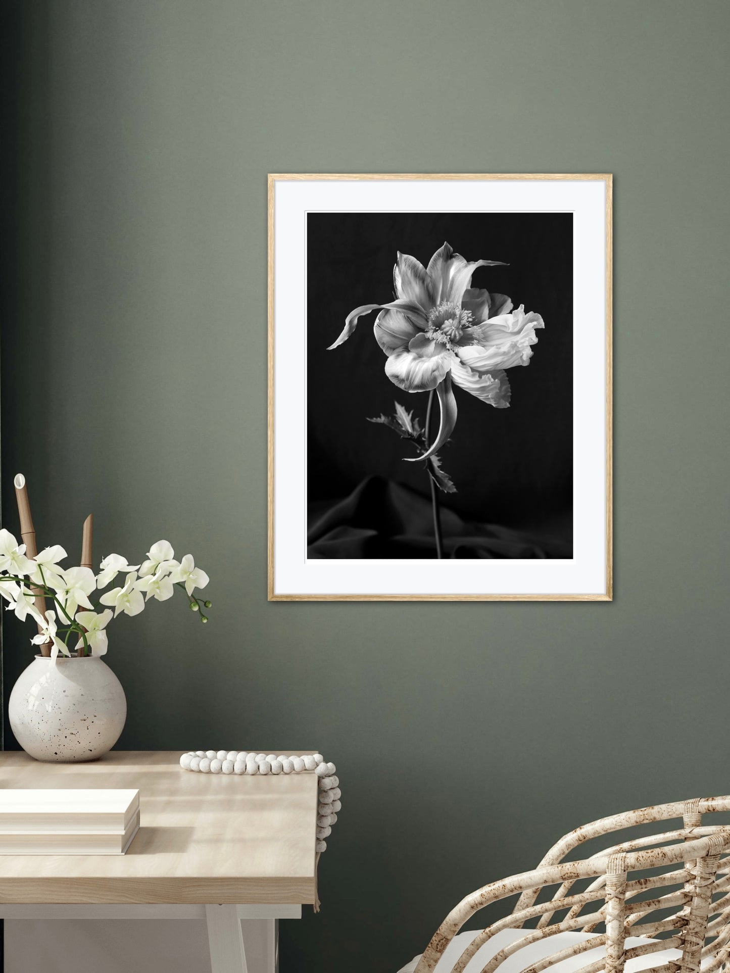 Tulipaver Arcus