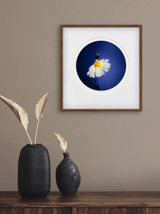 Sowing stars (Etat II)