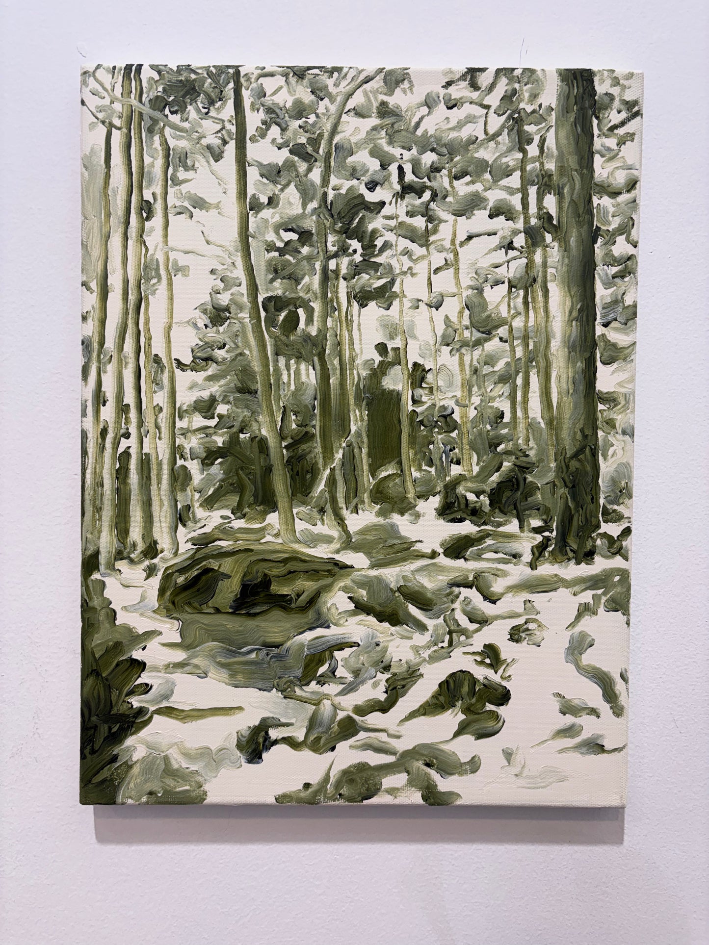 Pinewood pathways II