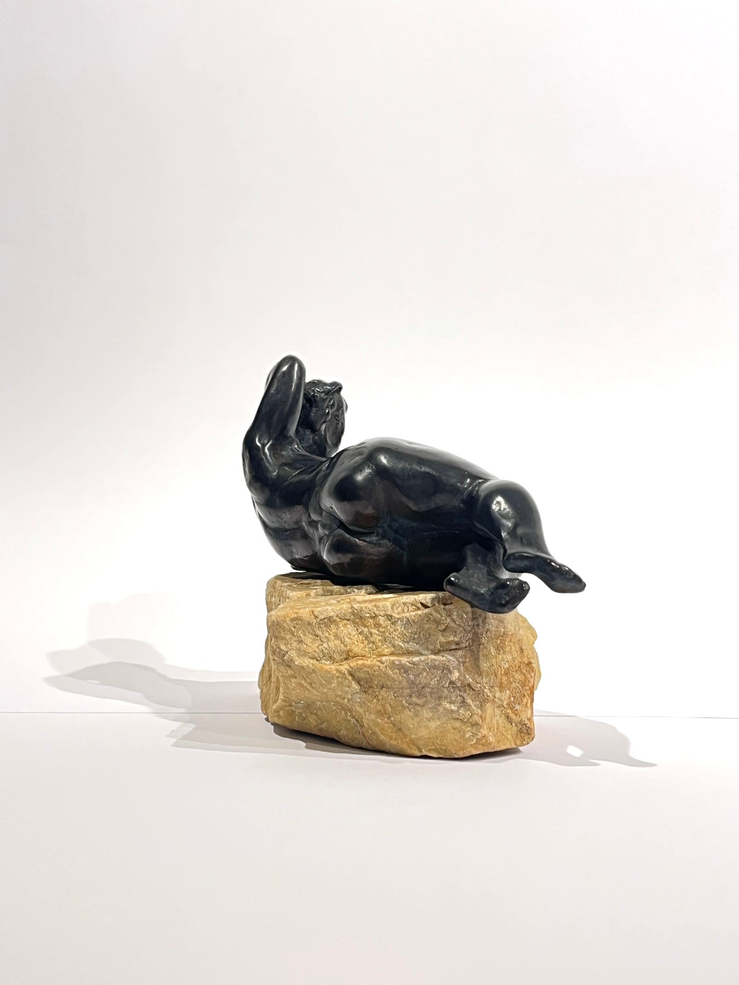 Sunbather (Svart)