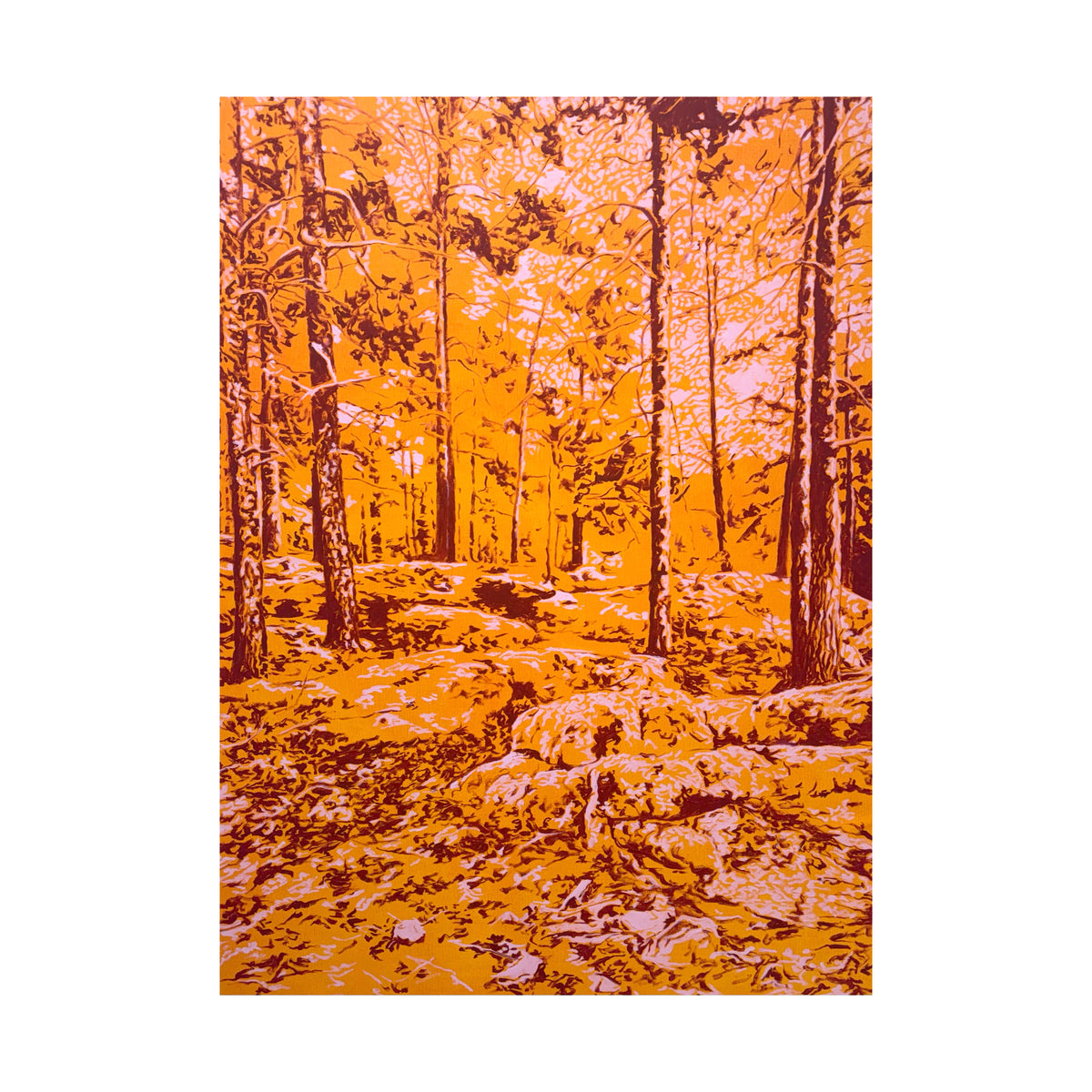 Virgin woodlands II