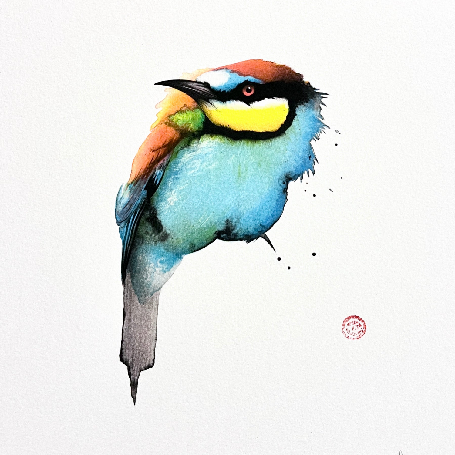 Plommonhuvad parakit - Litografi av Karl Mårtens