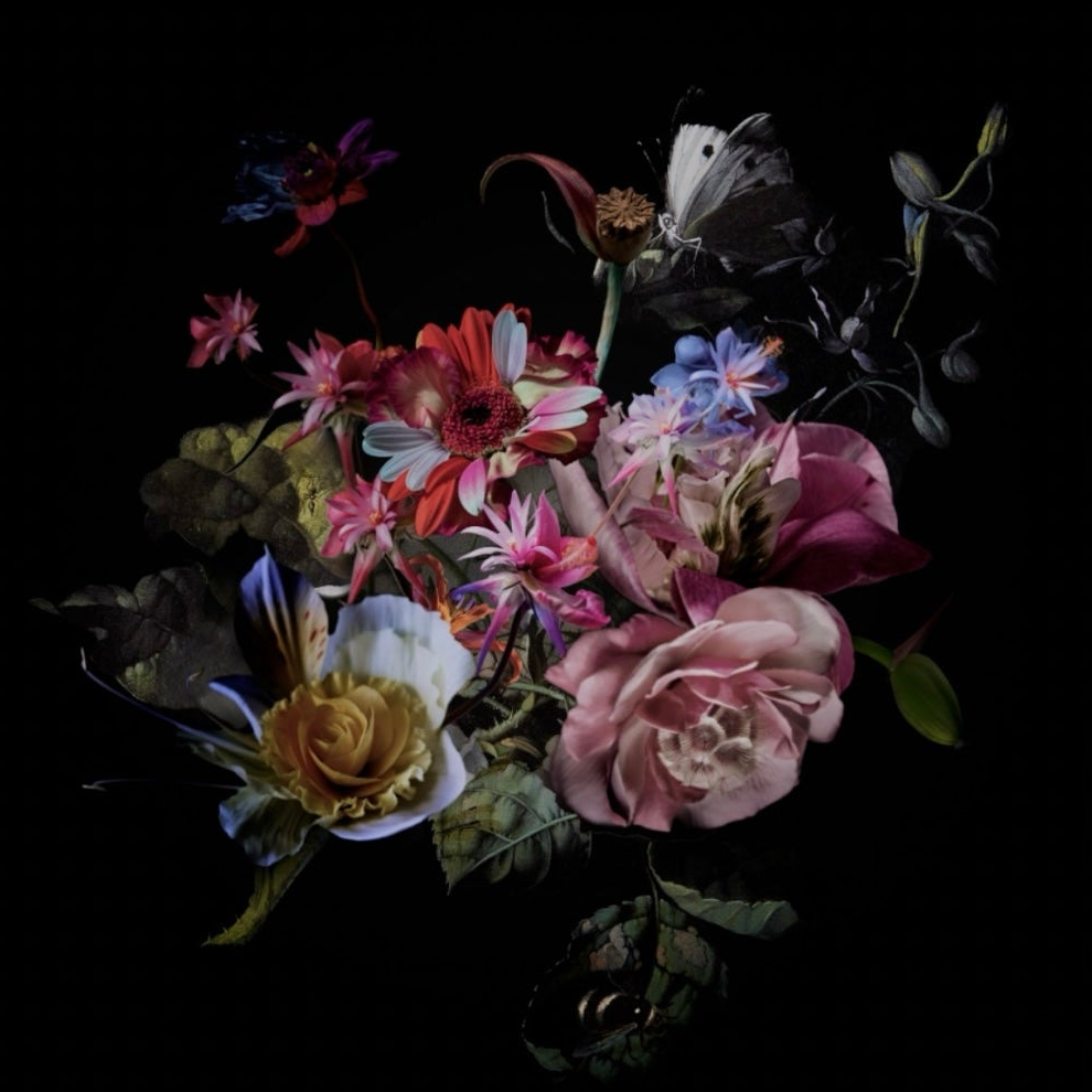 Rachel's Arrangement #2