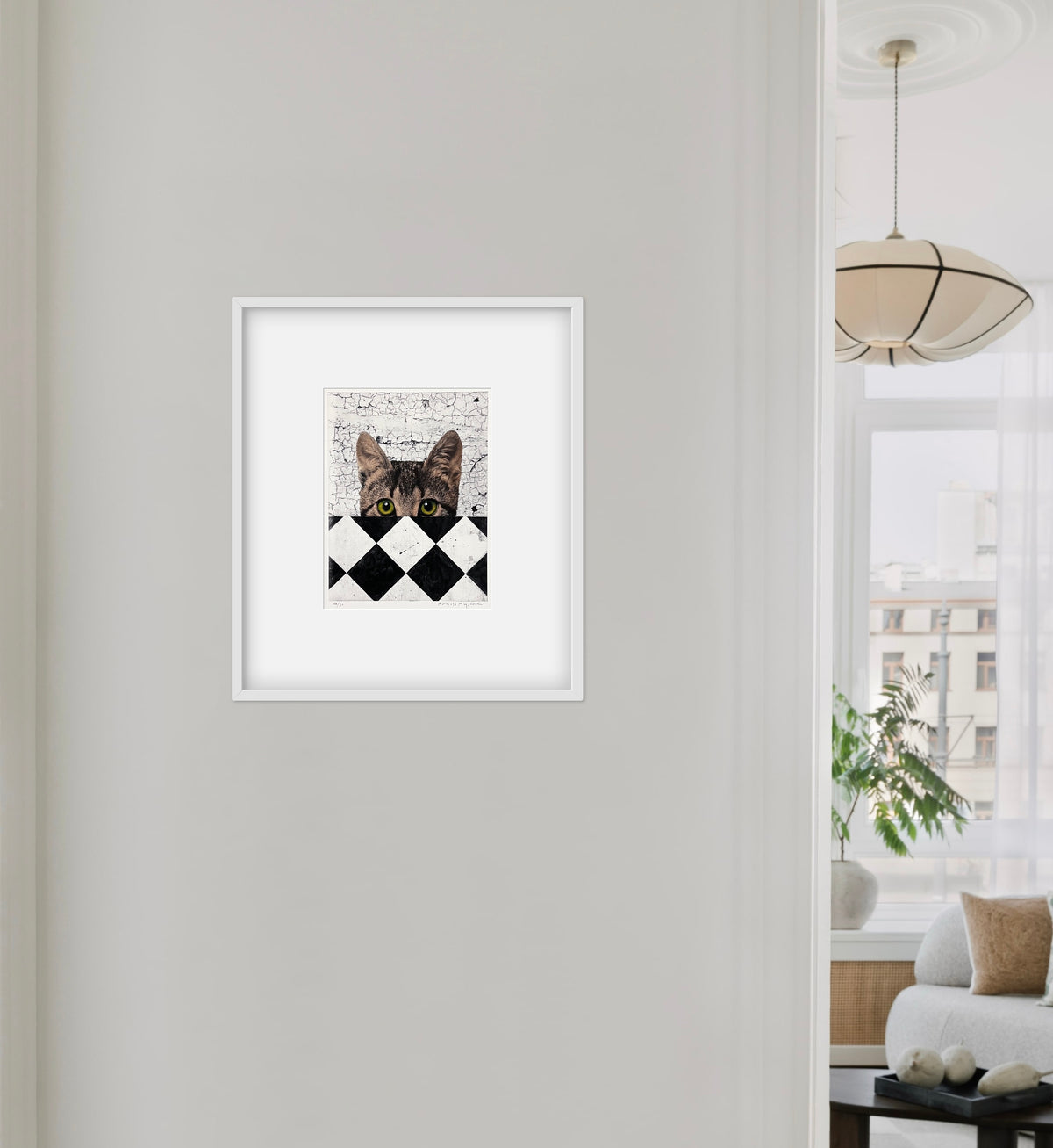 Gato