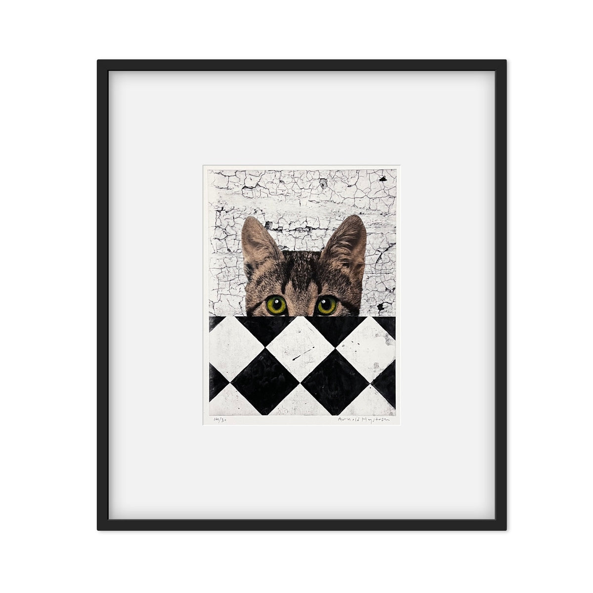 Gato
