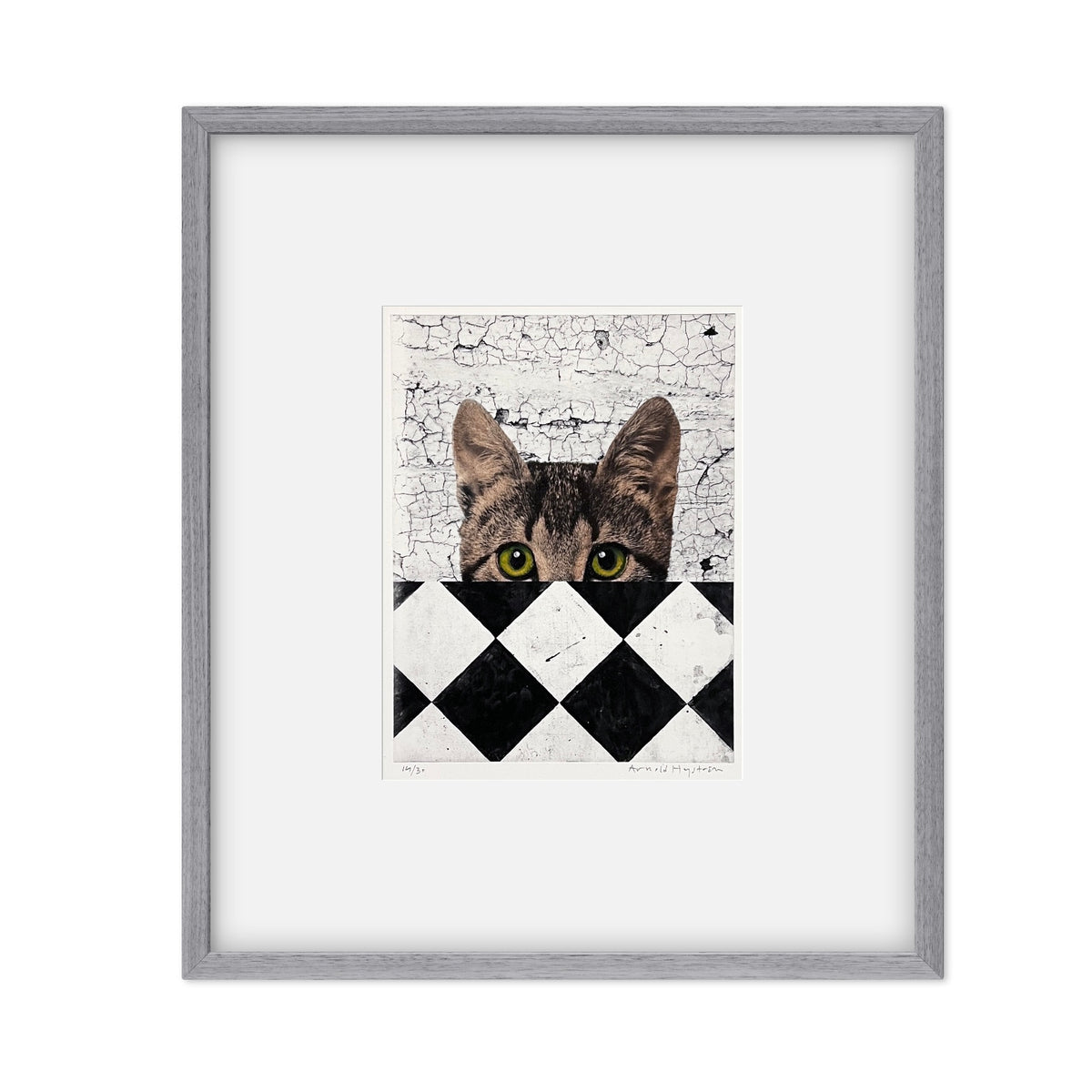 Gato