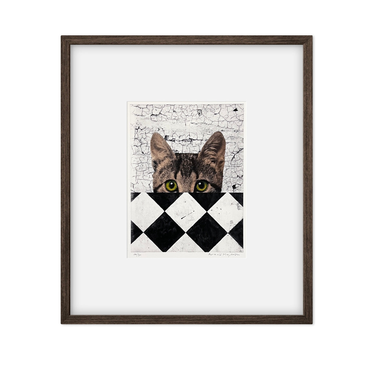 Gato