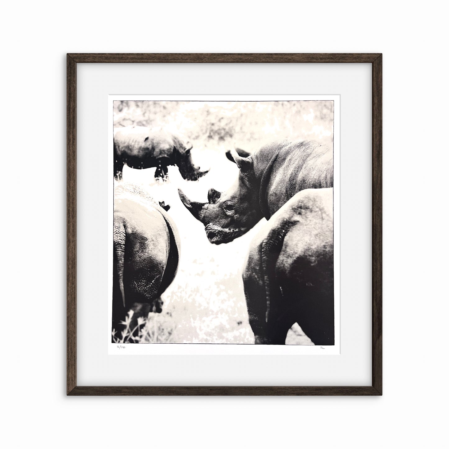 Rhinoceros