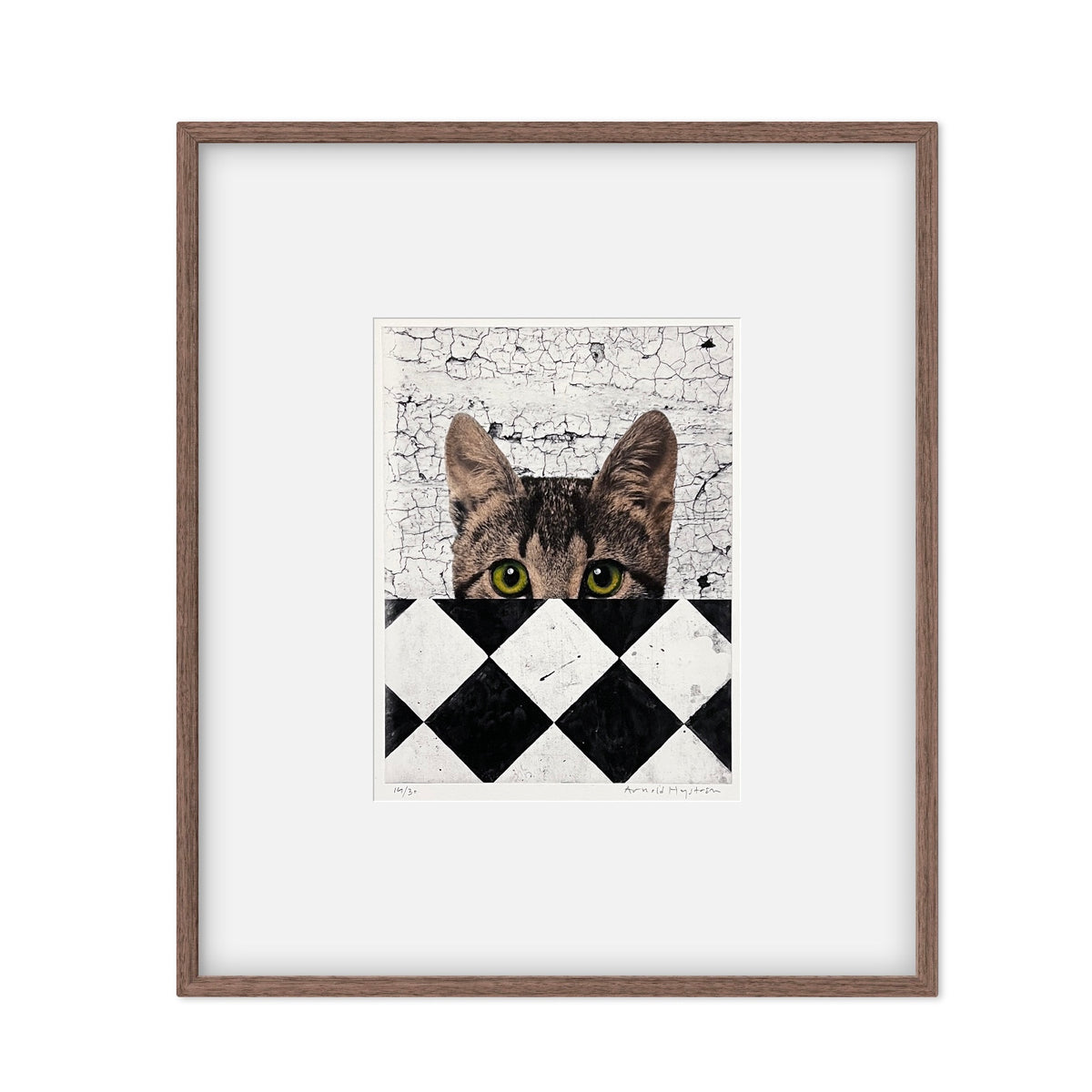 Gato