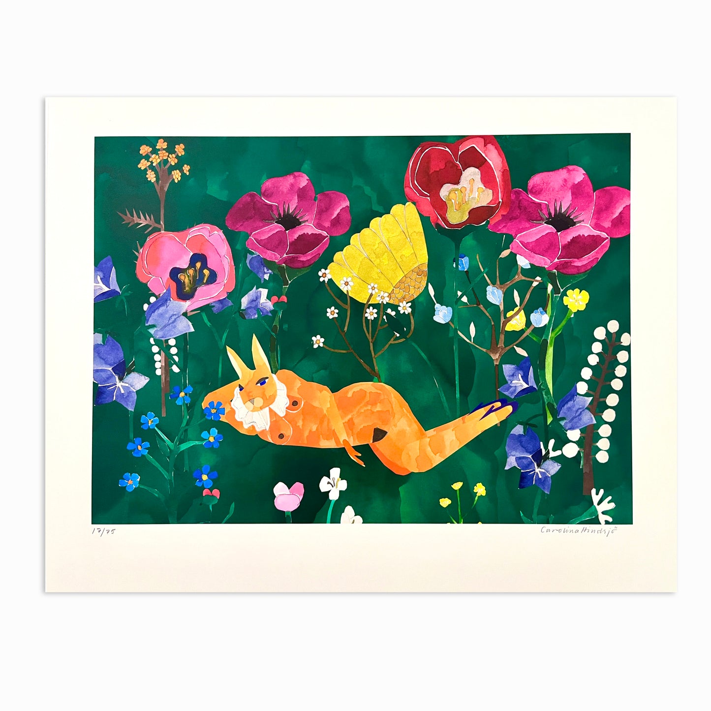 The beautiful in life 