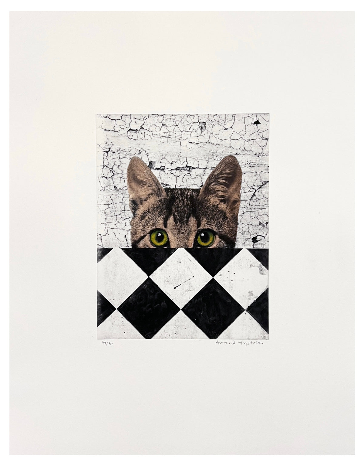 Gato