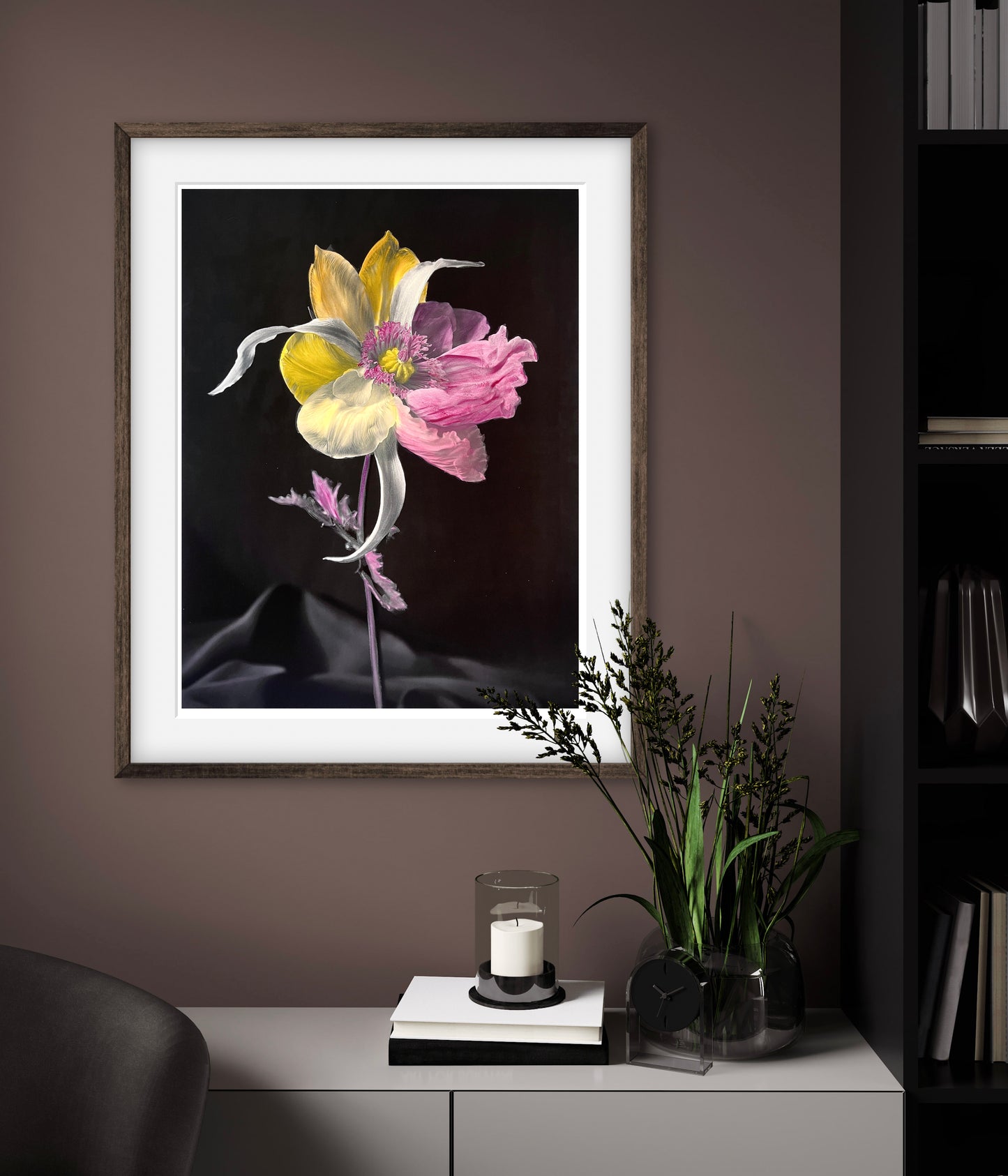 Tulipaver Arcus l (Handkolorerad)