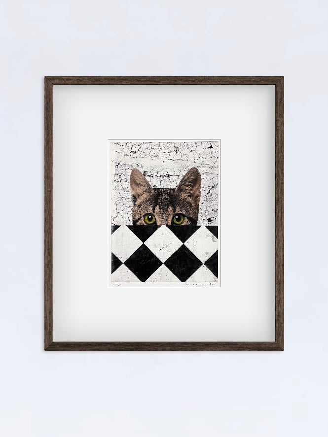 Gato