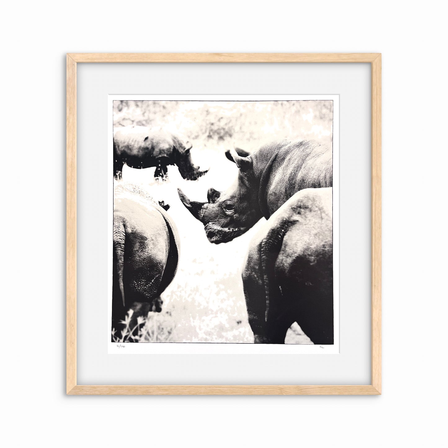 Rhinoceros