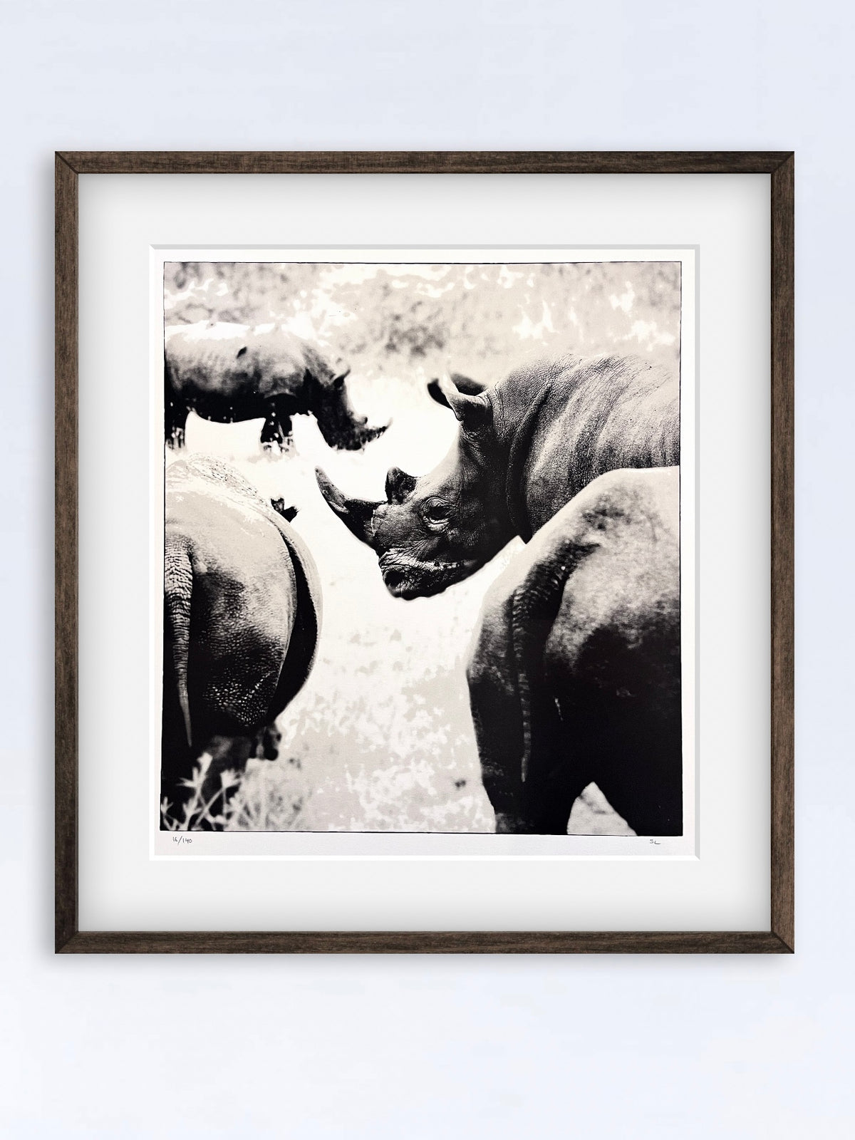 Mario Rinosoris Sem Larsen - Rhinoceros - Photopolymer / Lithography â Maria Vulfovitch ...