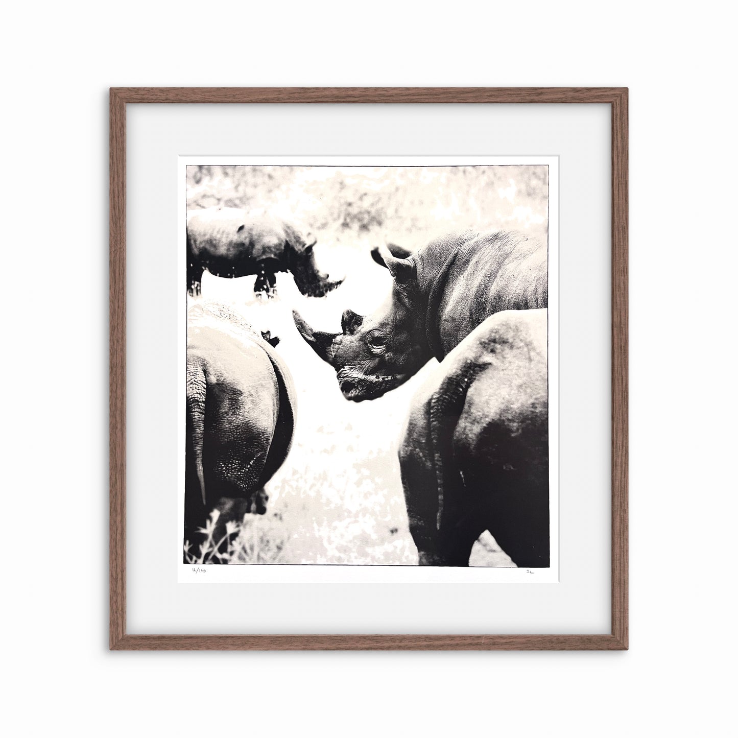 Rhinoceros