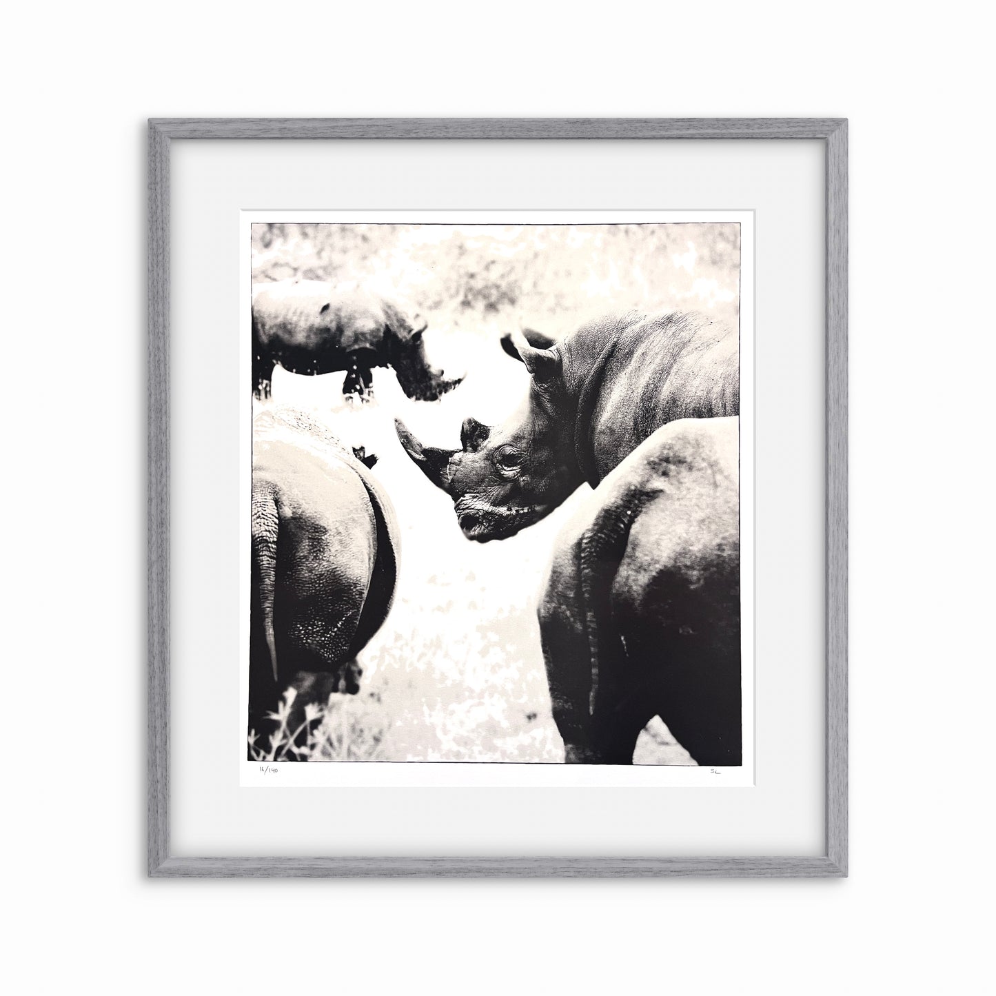 Rhinoceros