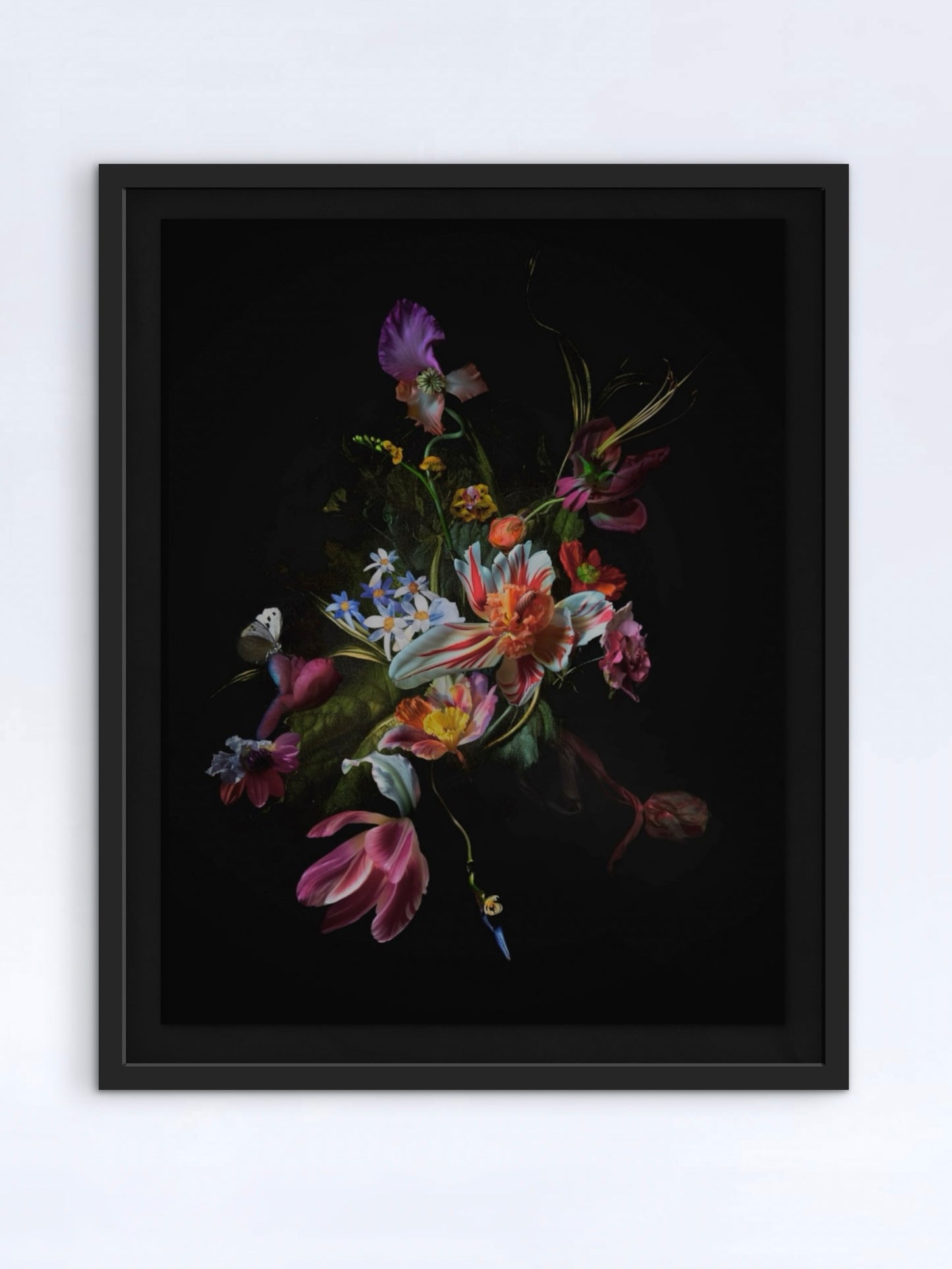 A framed print by Brady Krafts from the Passage-series, here visualised framed in a black frame with a floating mount. The bouquet is made up of colourful flower like hybrid species on a solid black background