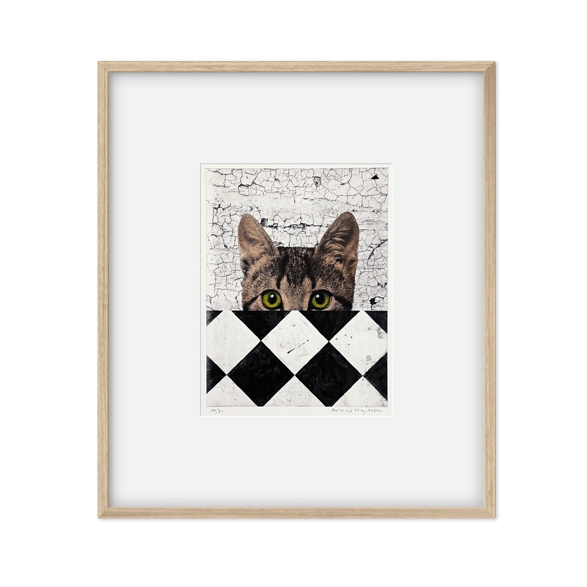 Gato