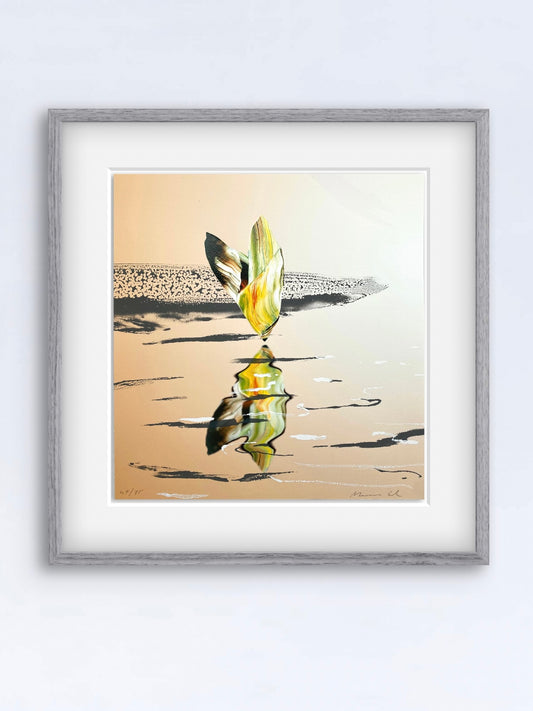 Reflection I