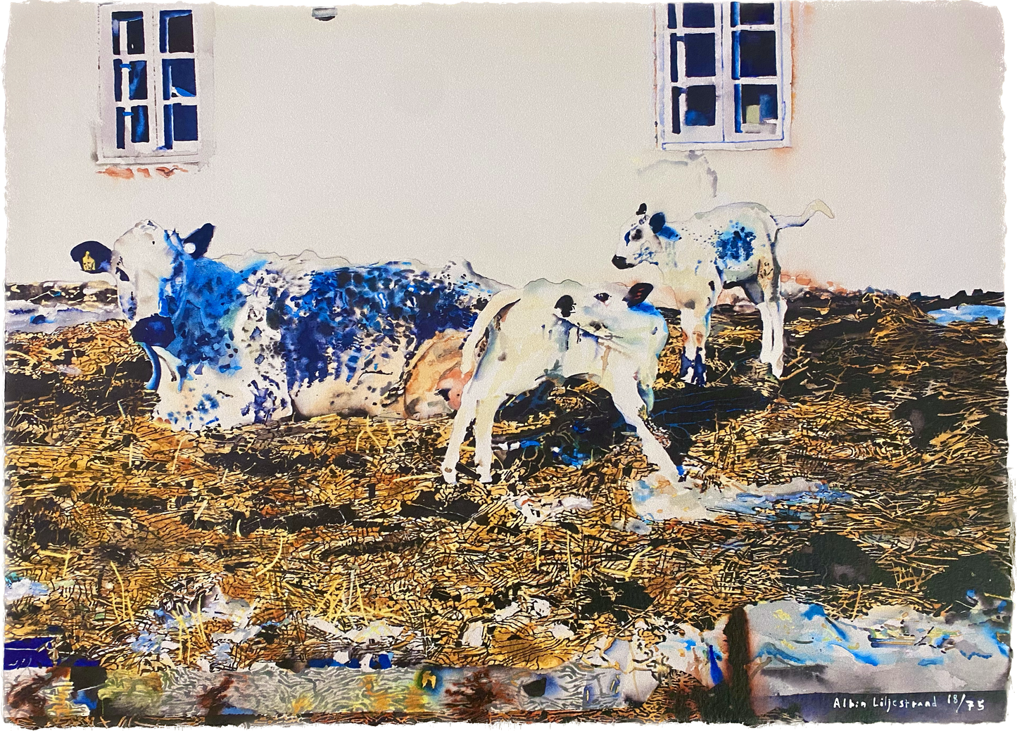 Fjällko med kalvar på Frömansgården