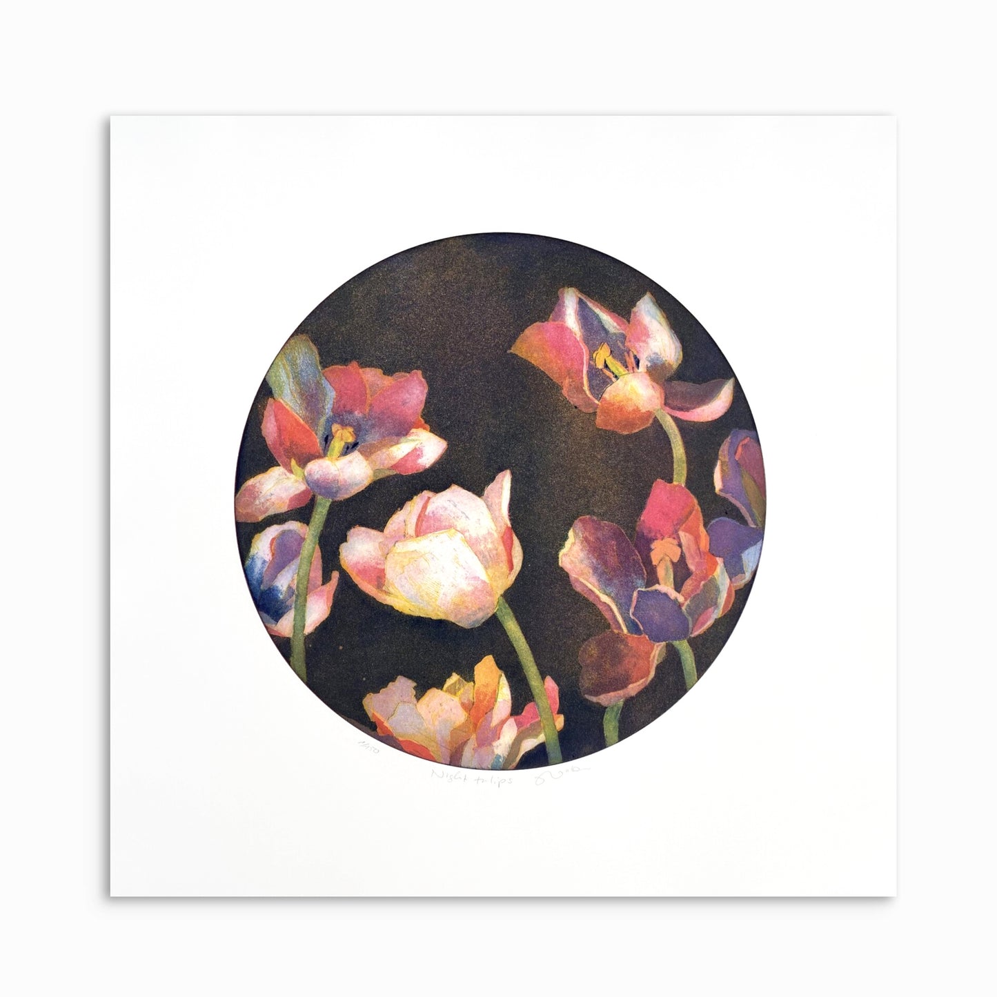 Night tulips