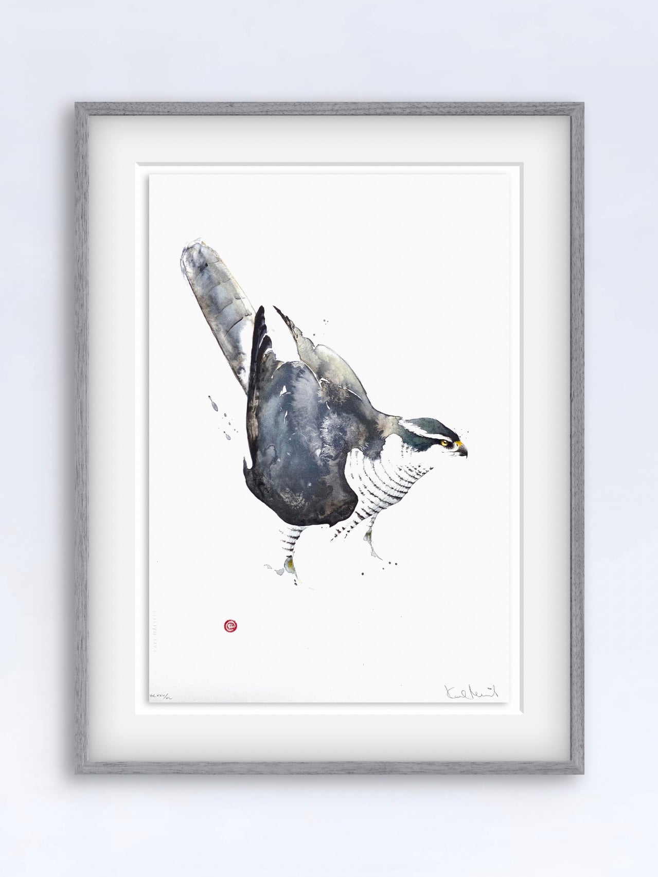 Ett unikt litografiskt tryck av en duvhök skapat av den välkända konstnären Karl Mårtens - Motivet är i grå toner mot en vit bakgrund och en passande inramning med ljusgrå ram. 