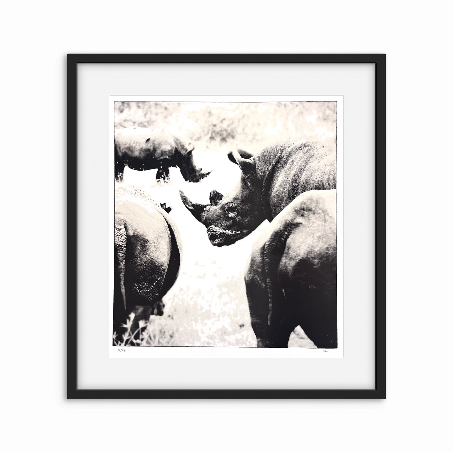 Rhinoceros