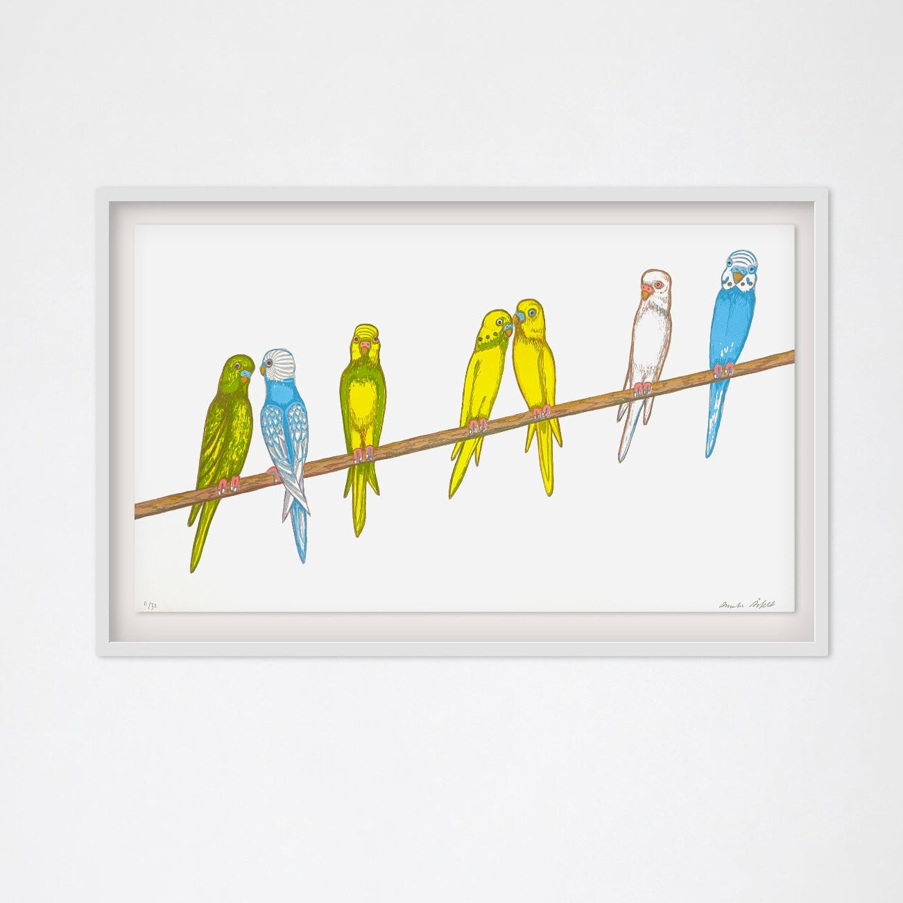 Parakeets I