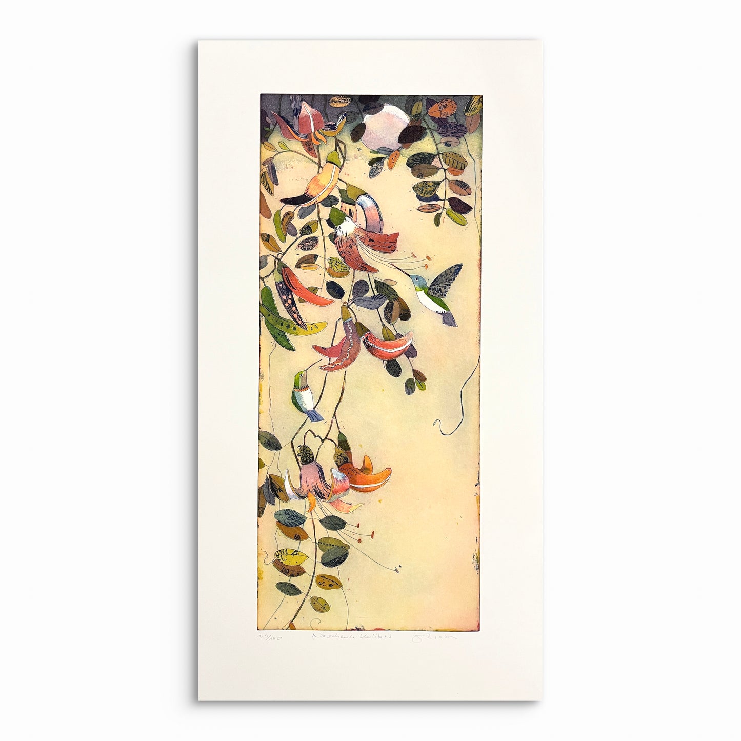 Naschende Kolibris