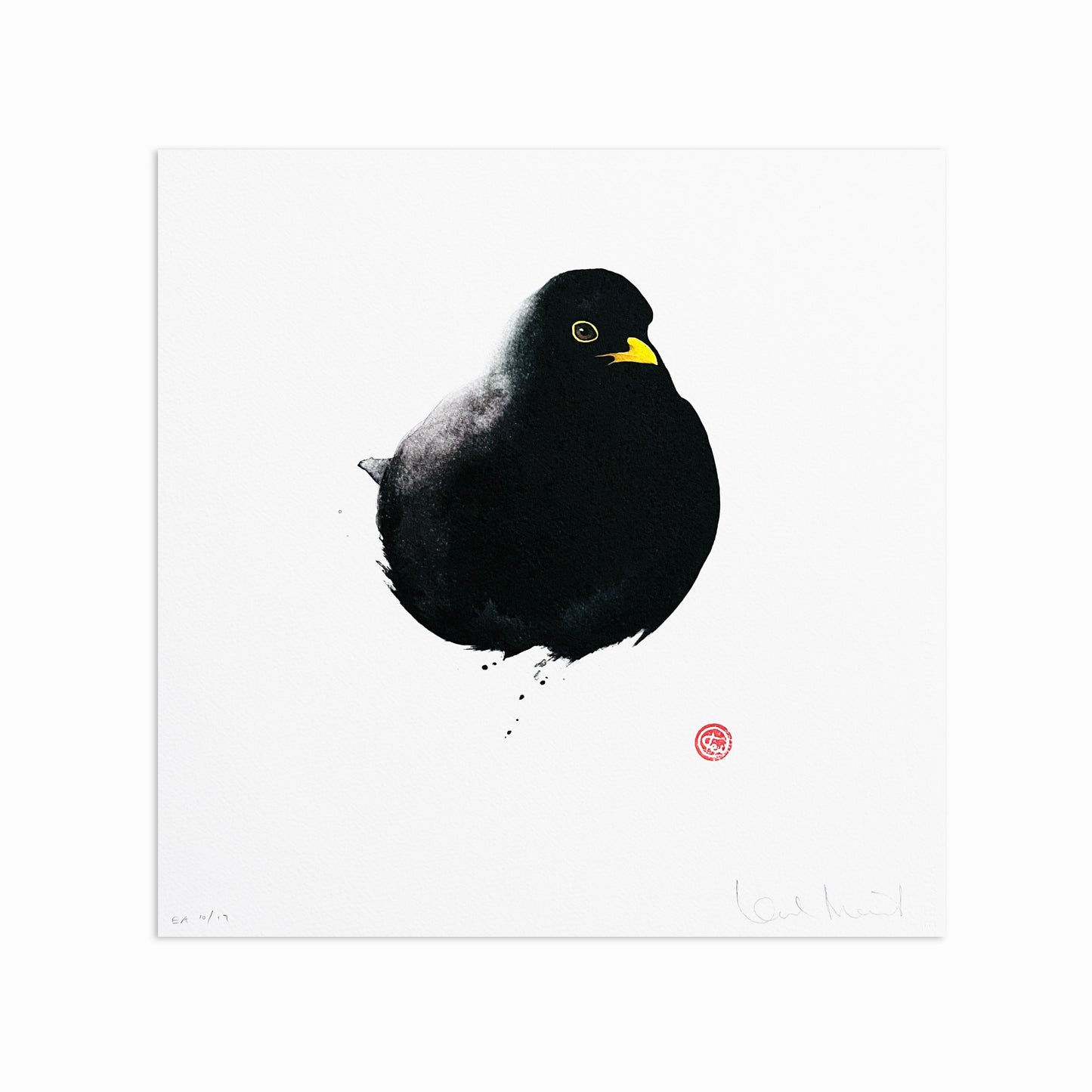Blackbird IV