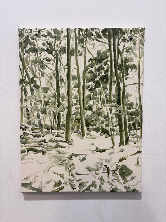 Pinewood pathways I