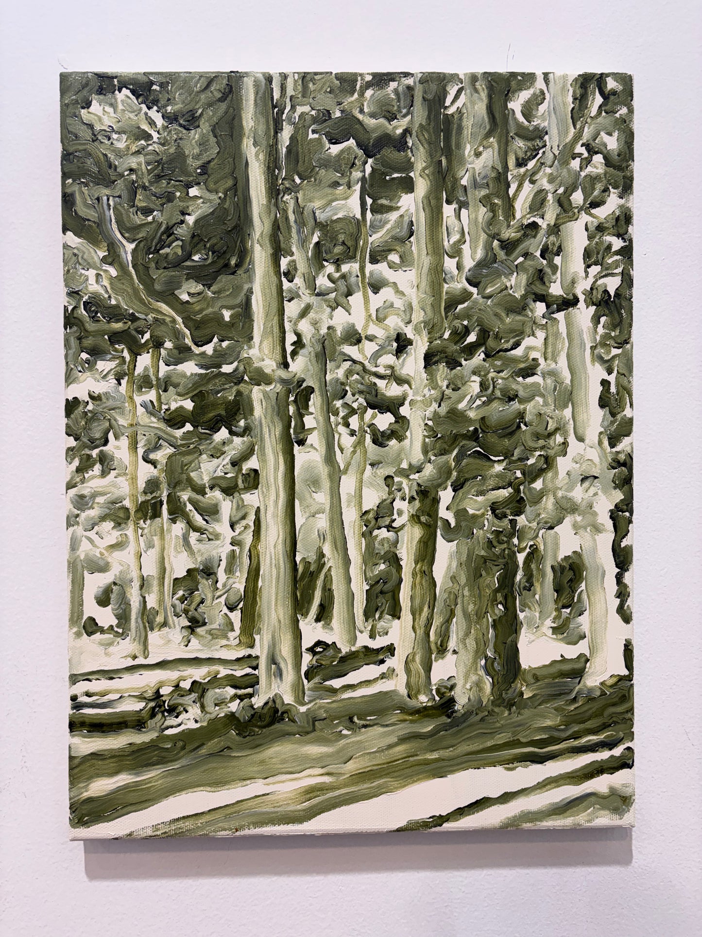 Pinewood pathways III