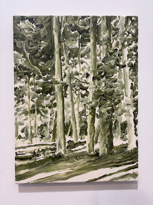 Pinewood pathways III