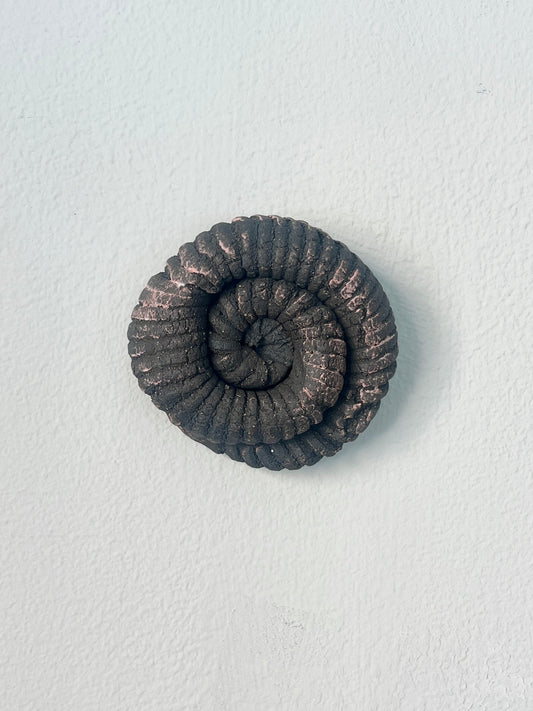 Fossus