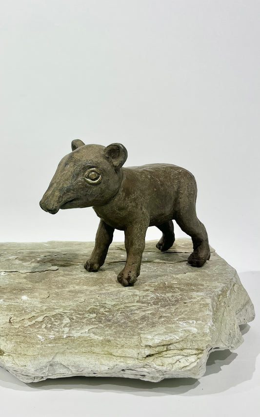 Tapir