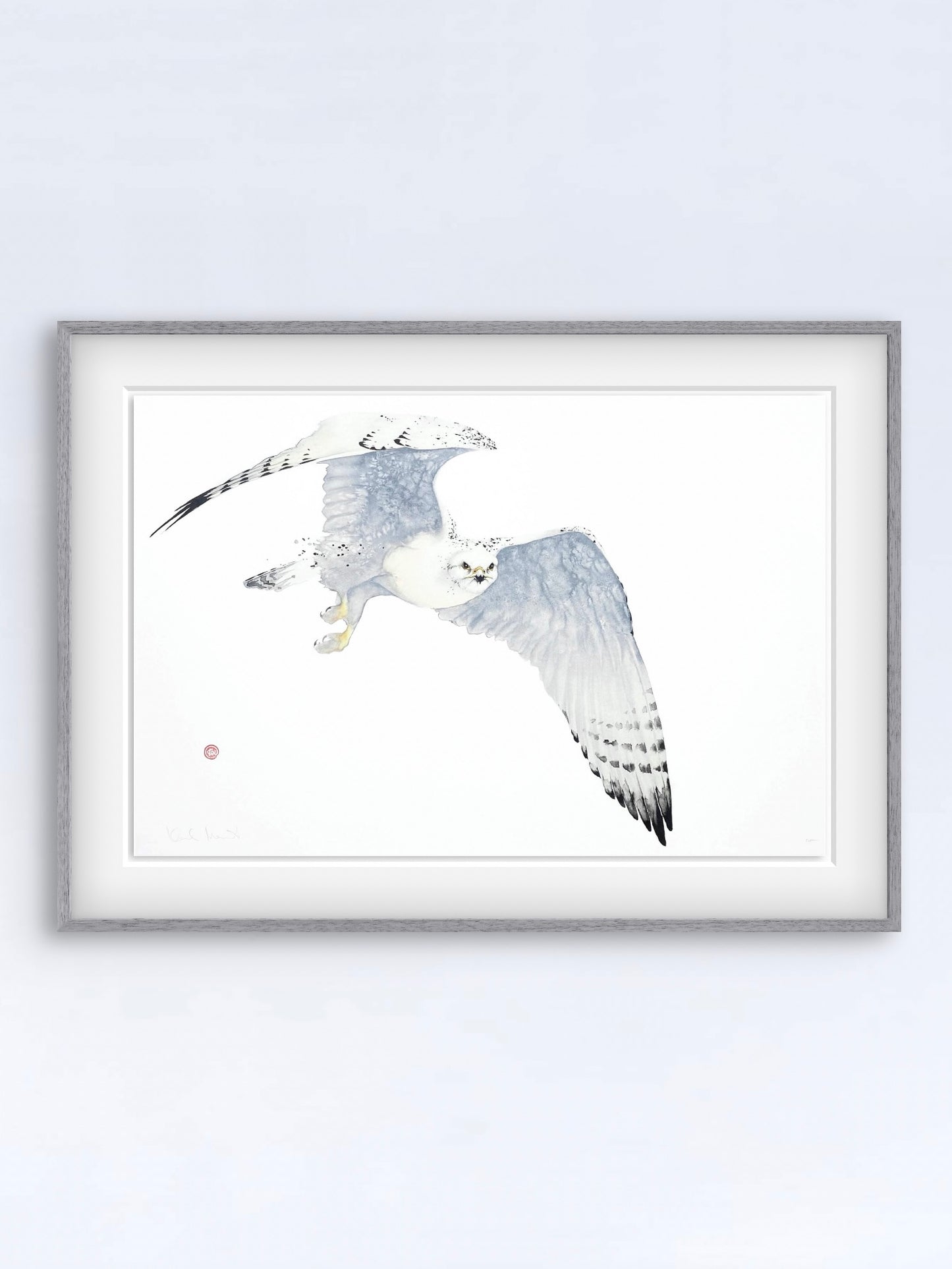 Ett unikt litografiskt tryck av en jaktfalk skapat av den välkända konstnären Karl Mårtens - Motivet är i grå toner mot en vit bakgrund och en passande inramning med ljusgrå ram.