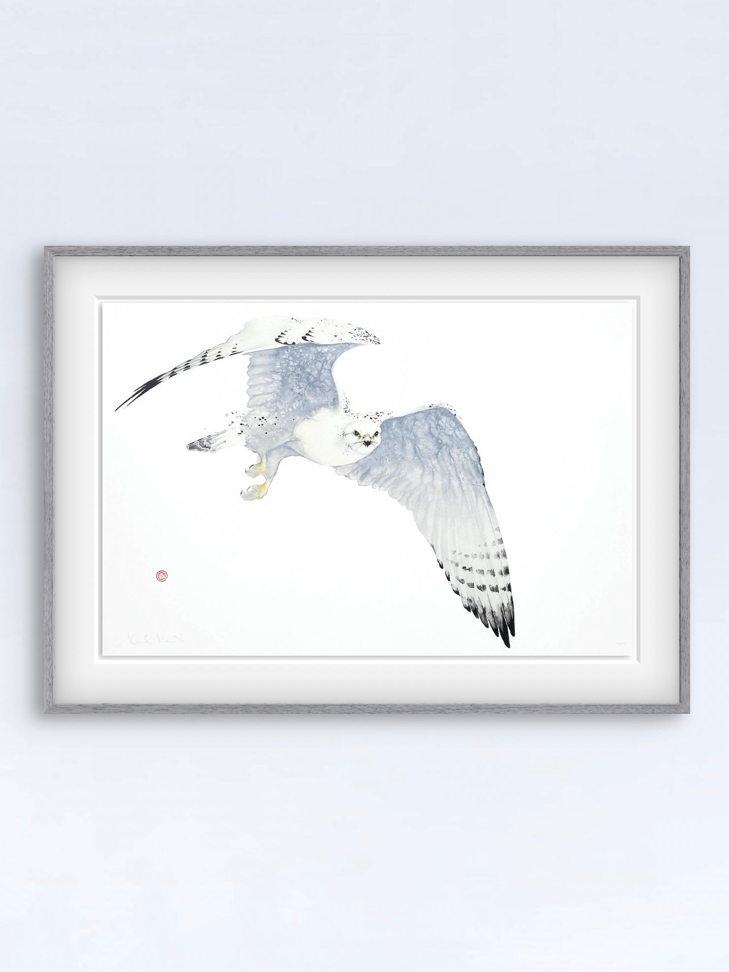 Ett unikt litografiskt tryck av en jaktfalk skapat av den välkända konstnären Karl Mårtens - Motivet är i grå toner mot en vit bakgrund och en passande inramning med ljusgrå ram.